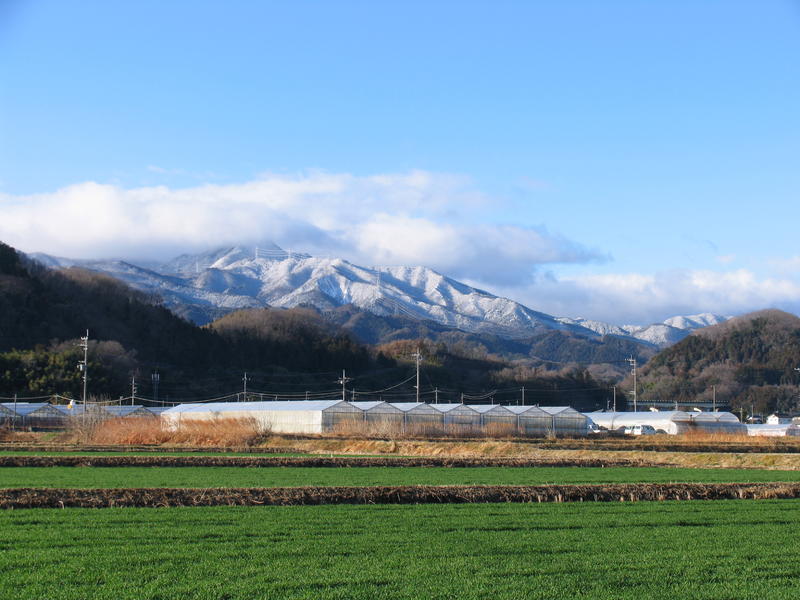 雪をいただいた稲含山